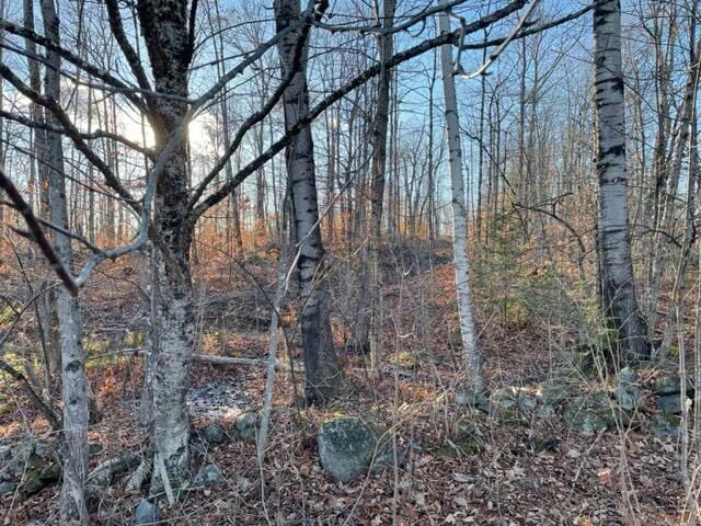 M13 L22-1 GREENLEAF ROAD, Anson, ME 04911 Land For Sale  MLS# 1578005