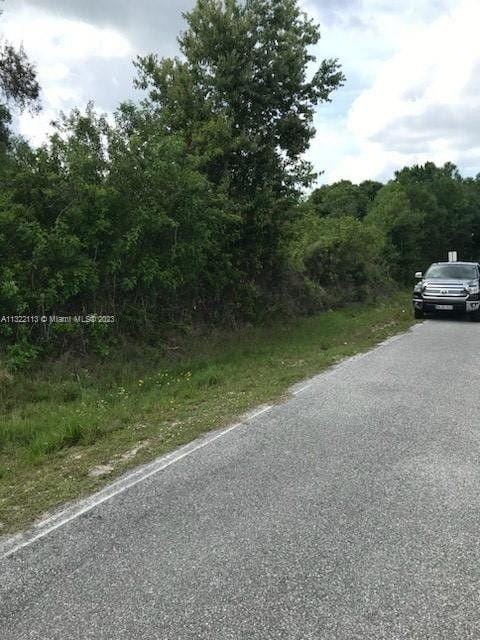 Okeechobee, Okeechobee County, FL Undeveloped Land, Homesites for sale Property ID: 415537951