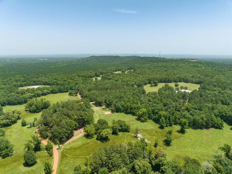 1425 State Hwy 300, Gilmer, TX 75644 for Sale