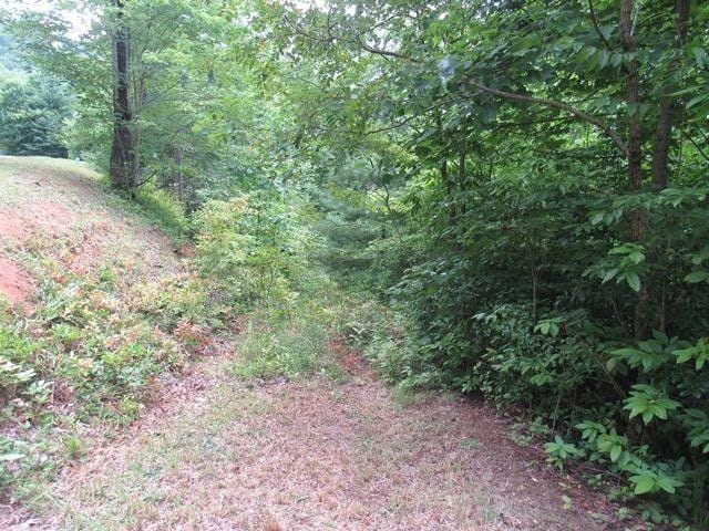 Franklin, Macon County, NC Homesites for sale Property ID: 417420425