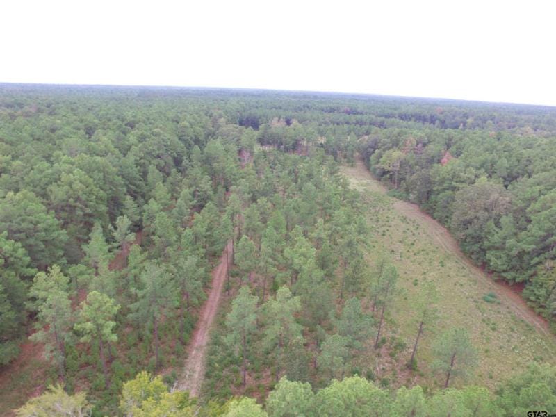 TBD CR 4600, Kennard, TX 75847 Land For Sale  MLS# 23013471