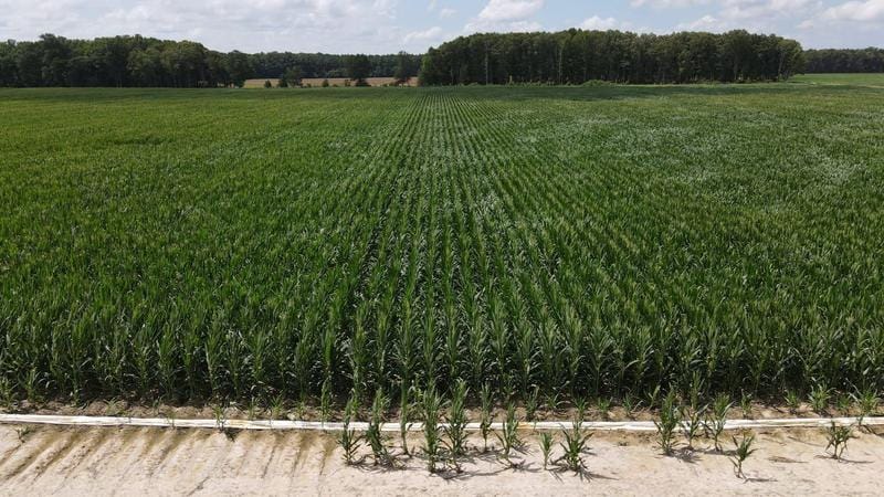 Russell, White County, AR Farms and Ranches, Recreational Property for sale Property ID: 418621544