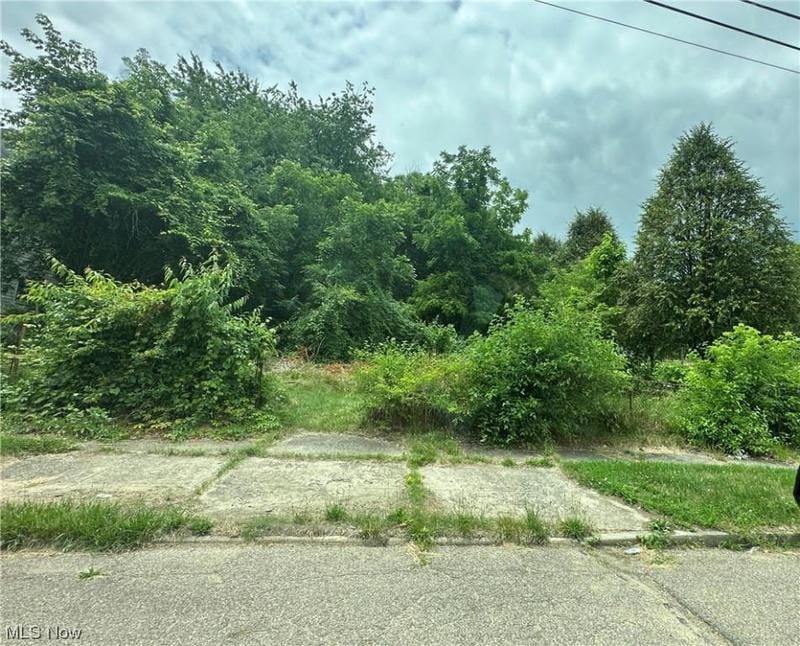 532 DOUGLAS ST, Akron, OH 44307 Land For Sale  MLS# 4476383