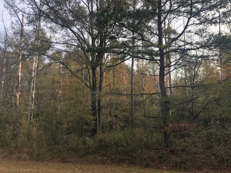 Waynesboro, Burke County, GA Undeveloped Land, Homesites for sale Property ID: 418271061