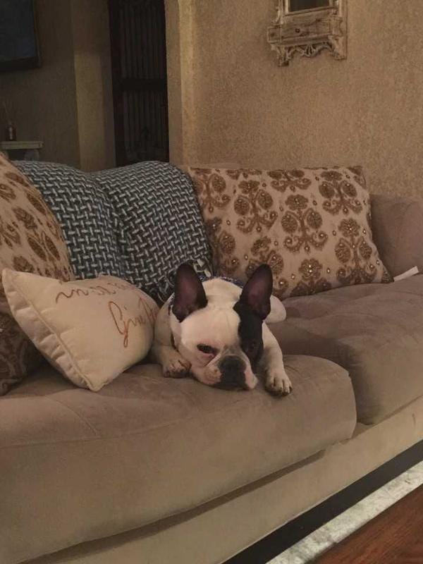 East 74th Street  6112 East 74th Street for Sale