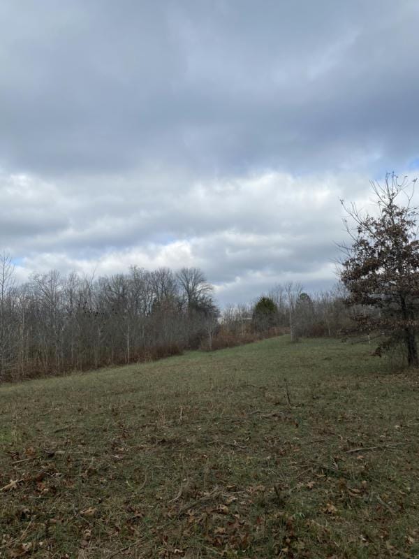 0 BOB LEWIS RD, Indian Mound, TN 37079 Land For Sale  MLS# 2601479