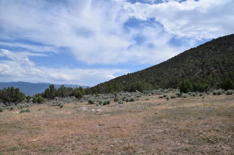 Ephraim, Sanpete County, UT Farms and Ranches, Undeveloped Land for sale Property ID: 417844493