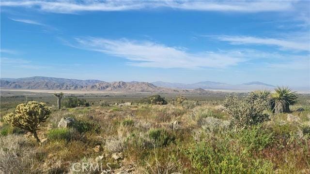 0 NEAR COUNTY RD , Lucerne Valley, CA 92356 Land For Sale  MLS# HD23061308