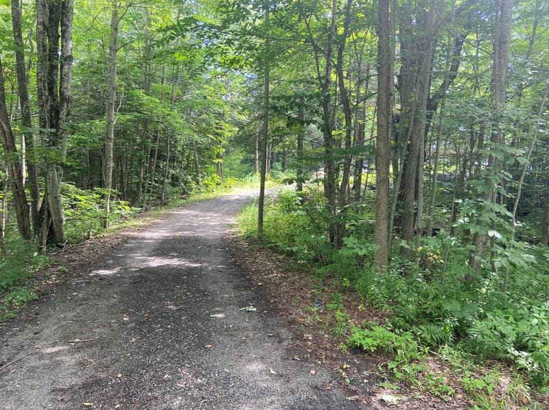 367 Gray Rd, Falmouth, ME 04105 - MLS 1568869 for Sale
