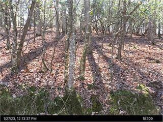 Ellijay, Gilmer County, GA Homesites for sale Property ID: 418612348