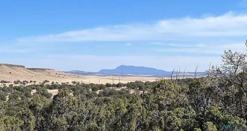 421 Cimarron Drive, Quemado, NM 87829  606779487 for Sale