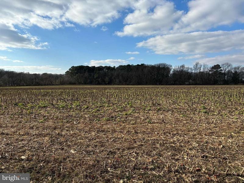 COKESBURY ROAD, RHODESDALE, MD 21659  621227745 for Sale