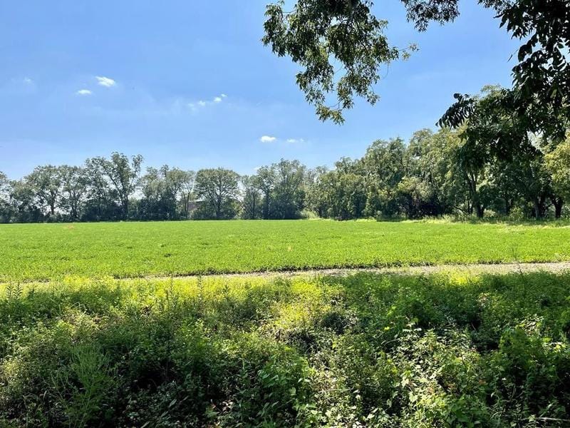 Ray City, Berrien County, GA House for sale Property ID: 417774033