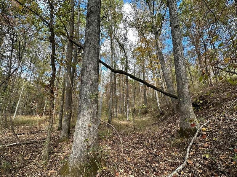 1 JACK RD, Utica, MS 39175 Land For Sale  MLS# 140289