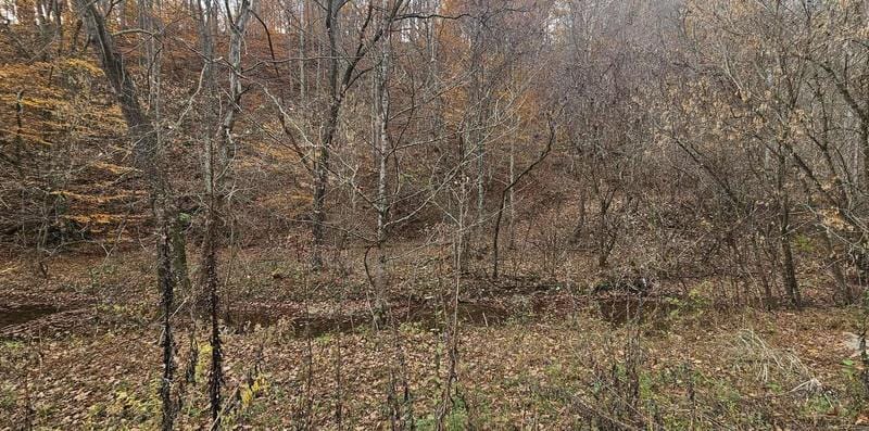 Tbd Caney Valley Loop, Surgoinsville, TN 37873  608765036 for Sale