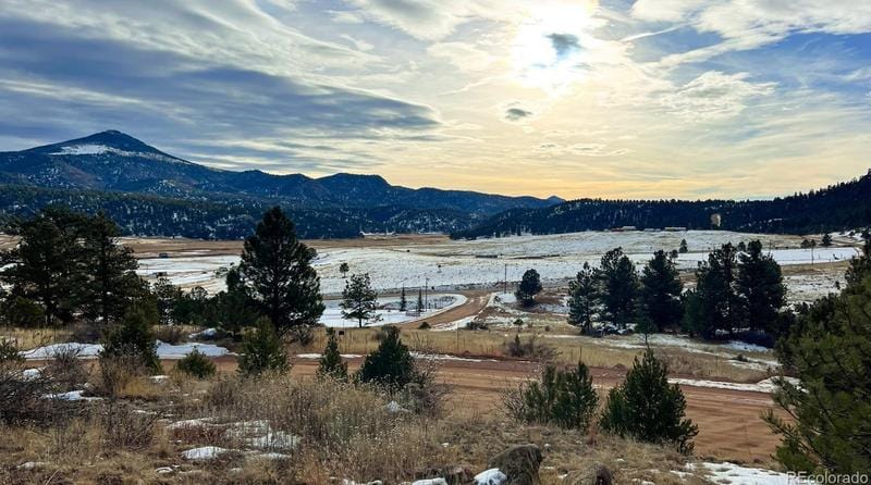 1217 Navajo Dr, Florissant, CO 80816 - MLS 9000791 for Sale