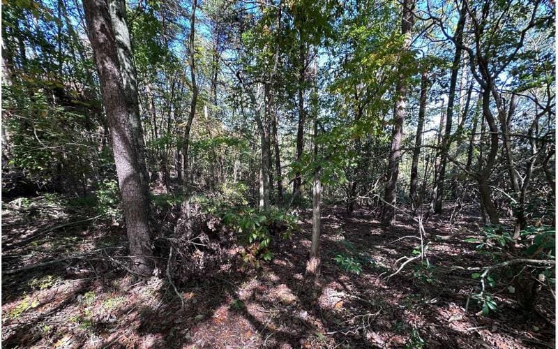 Jasper, Pickens County, GA Homesites for sale Property ID: 418047697
