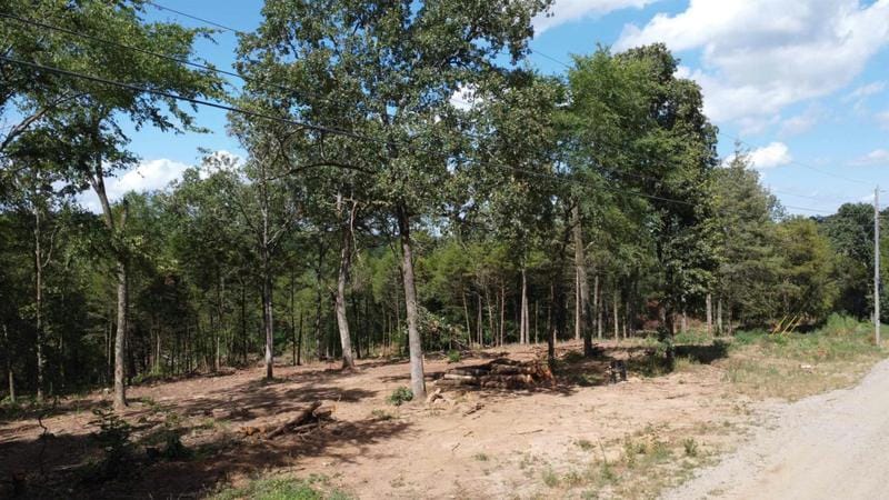 TBD SHELBY LANE, Cecil, AR 72930 Land For Sale  MLS# 23036117
