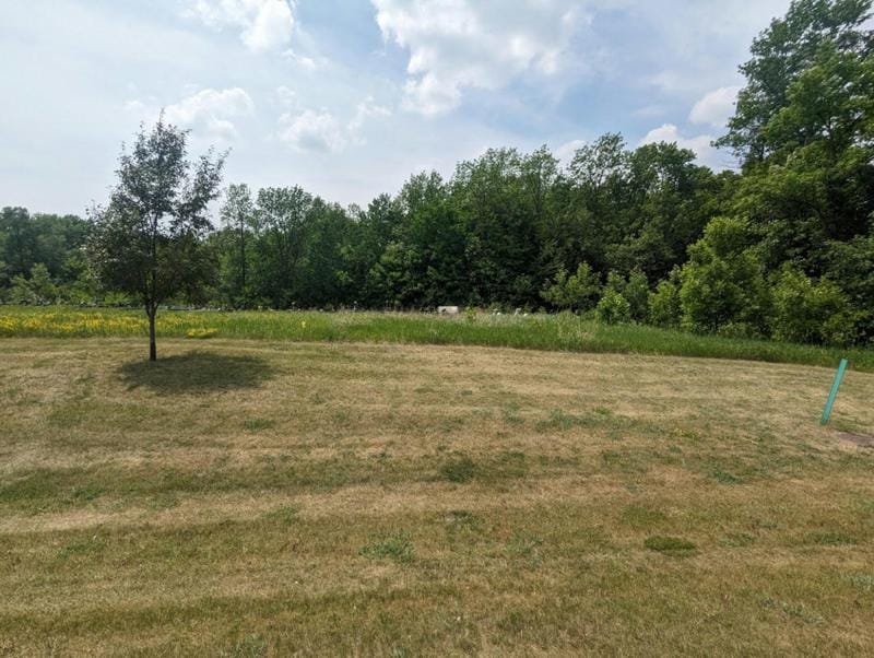 NULL LOT 1 BLOCK 1 GENEVA GOLF CLUB DRIVE, Alexandria, MN 56308 Land For Sale  MLS# 6353559