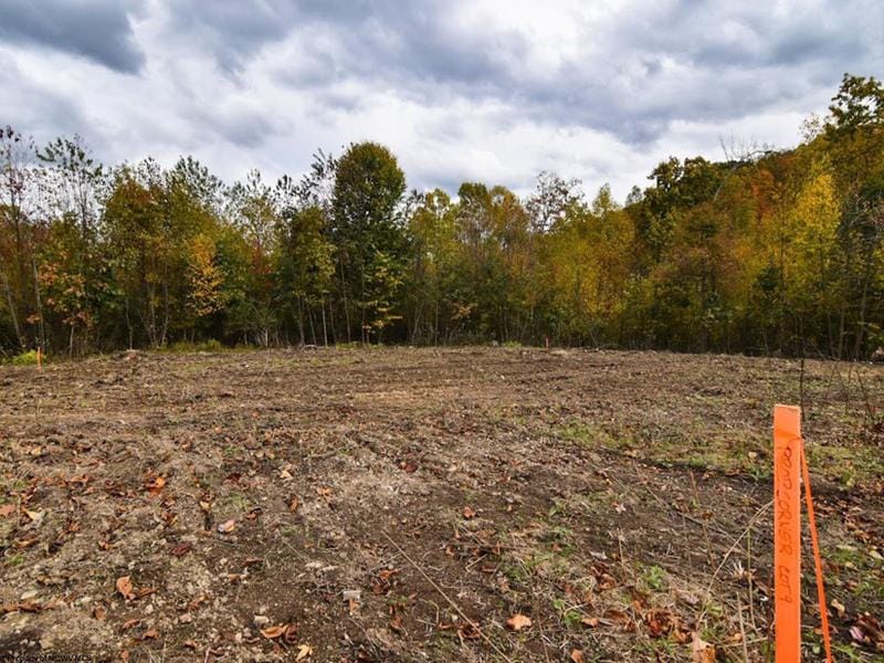 Kingwood, Preston County, WV Undeveloped Land, Homesites for sale Property ID: 418141477