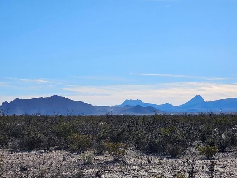 Terlingua, Brewster County, TX Undeveloped Land for sale Property ID: 418625910