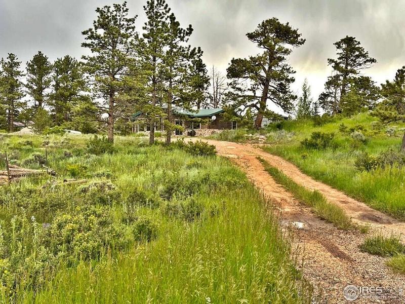 28 Birdie St, Red Feather Lakes, CO 80545  612250994 for Sale