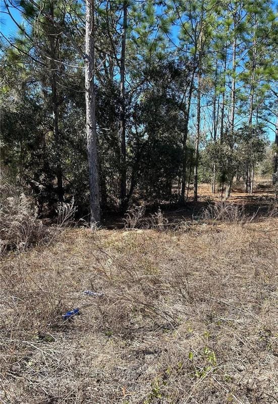 Dunnellon, Marion County, FL Undeveloped Land, Homesites for sale Property ID: 416777447