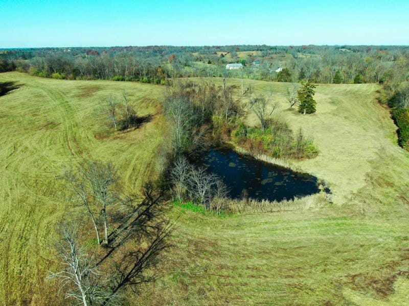 664 DAVIS LN, Cynthiana, KY 41031 Farm For Sale  MLS# 23022318