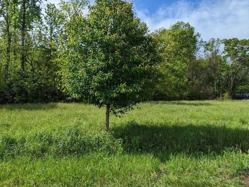 Newport, birde County, TN Undeveloped Land, Homesites for sale Property ID: 416725405