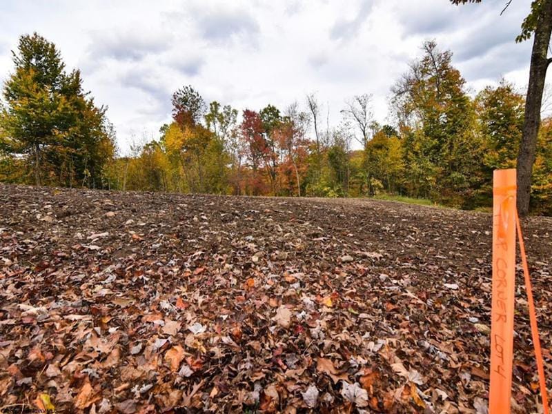 Kingwood, Preston County, WV Undeveloped Land, Homesites for sale Property ID: 418141473