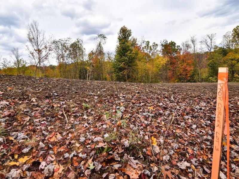 Kingwood, Preston County, WV Undeveloped Land, Homesites for sale Property ID: 418141472