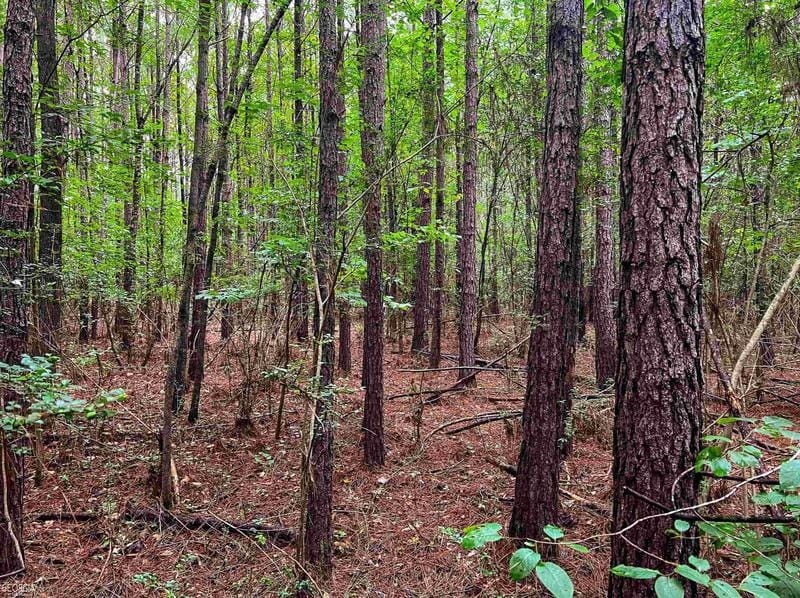 1200 Teamon Rd, Griffin, GA 30223 - MLS 20146420 for Sale