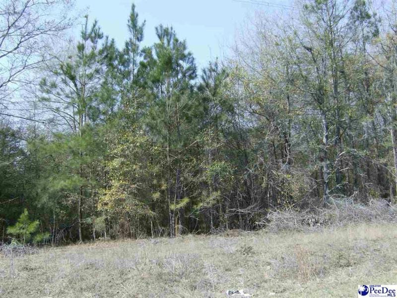LOTS 1 HARMONY HALL RD, Darlington, SC 29540 Land For Sale  MLS# 135768