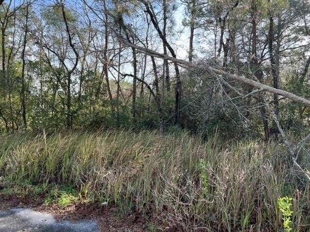 0 NW 17TH PLACE, OCALA, FL 34482  603614805 for Sale