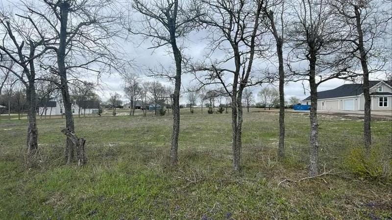 TBD Wortham Rd, Whitewright, TX 75491 for Sale