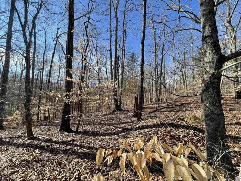 Cadiz, Trigg County, KY Undeveloped Land, Homesites for sale Property ID: 415666438