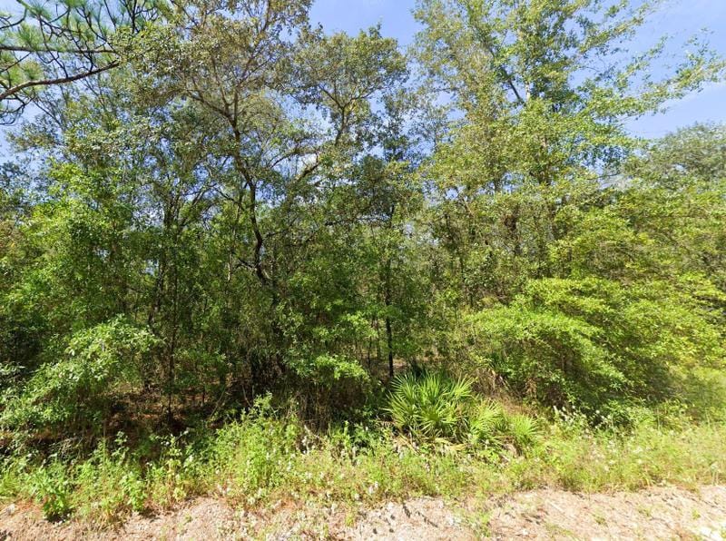 Bronson, Levy County, FL Undeveloped Land, Homesites for sale Property ID: 418683585