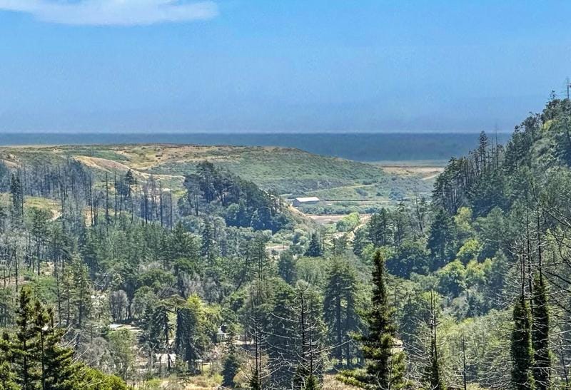 906 Swanton View Rd, Davenport, CA 95017 - MLS ML81932299 for Sale