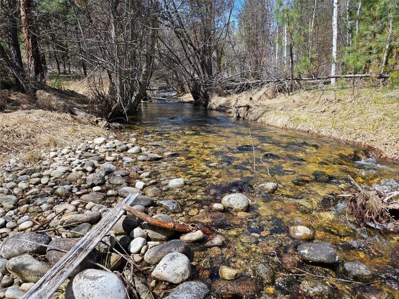Hamilton, Ravalli County, MT Undeveloped Land, Homesites for sale Property ID: 417069495