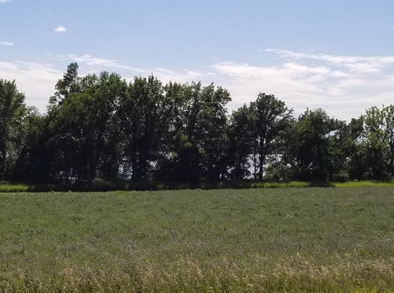 16 Jayvee Ln, Garvin, MN 56132 - MLS 6470592 for Sale