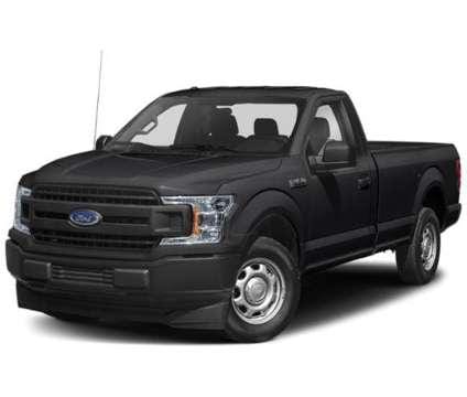 2019 Ford F-150 XL for Sale