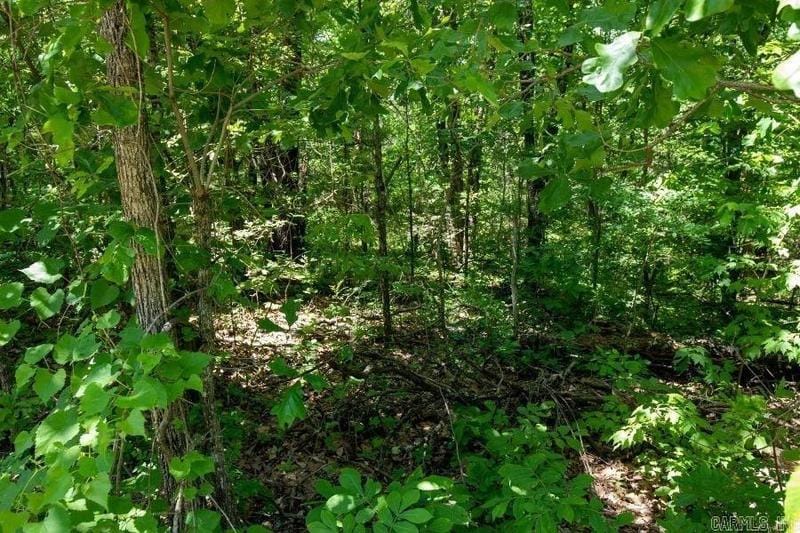 Henderson, Baxter County, AR Undeveloped Land, Homesites for sale Property ID: 418529331