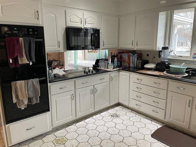 5 Bedroom 3.5 Bath In Boston MA 02130 for Rent