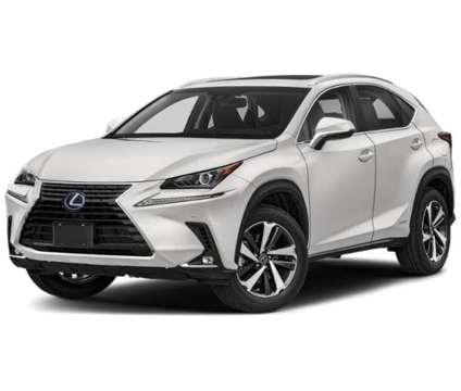 2021 Lexus NX 300h NX 300h for Sale