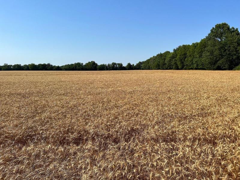 Asbury, Jasper County, MO Farms and Ranches, Undeveloped Land for sale Property ID: 416893704