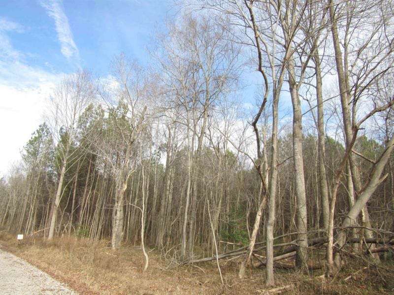 TRACT 1 NC 231 HIGHWAY, Spring Hope, NC 27882 Land For Sale  MLS# 2497884