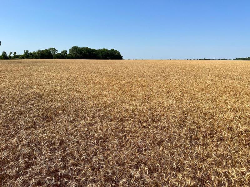 Asbury, Jasper County, MO Farms and Ranches, Undeveloped Land for sale Property ID: 416893703