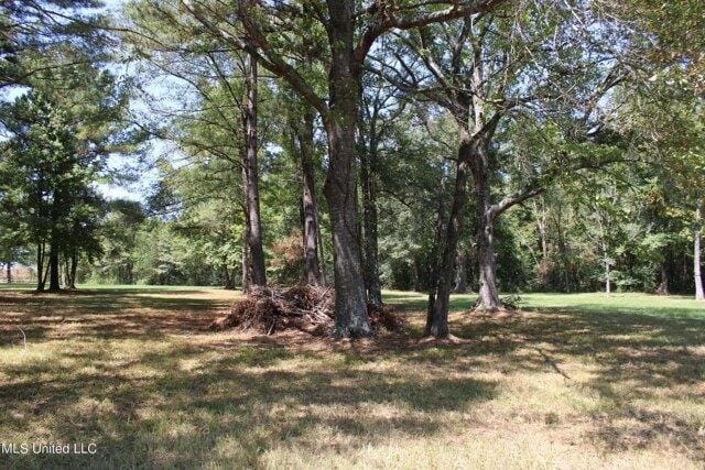 Plot For Sale In Canton, Mississippi