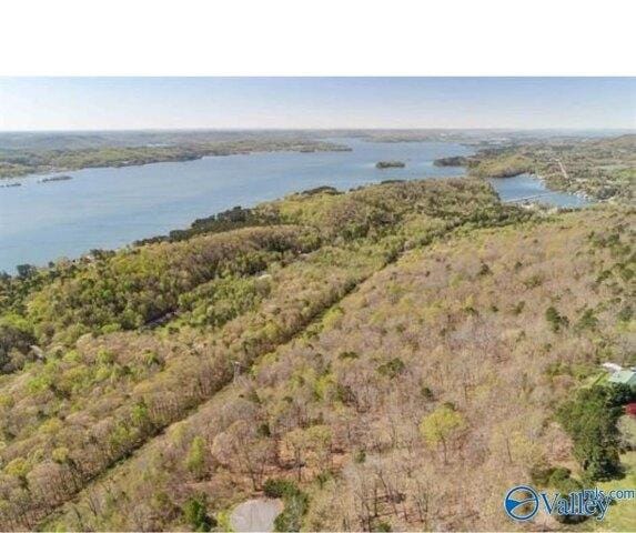 Plot For Sale In Scottsboro, Alabama