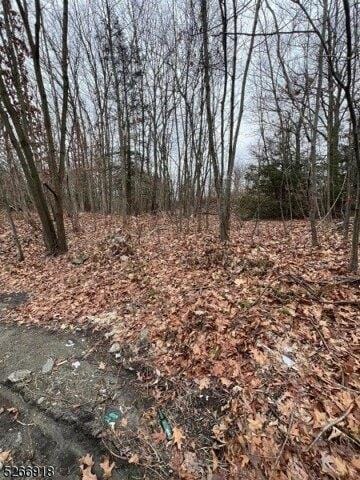 Plot For Sale In West Milford, New Jersey